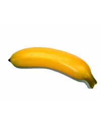 Artificial Banana